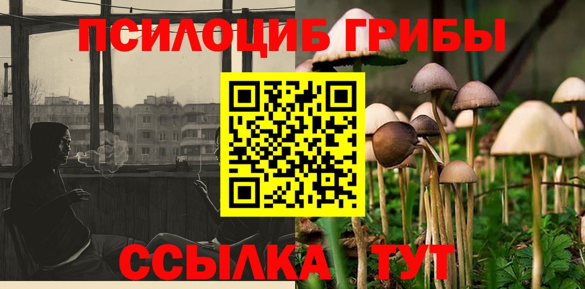 купить наркотики сайты  Псилоцибиновые грибы GOLDEN TEACHER  Вход с VPN  Псилоцибиновые грибы Psilocybine cubensis  Новотроицк 