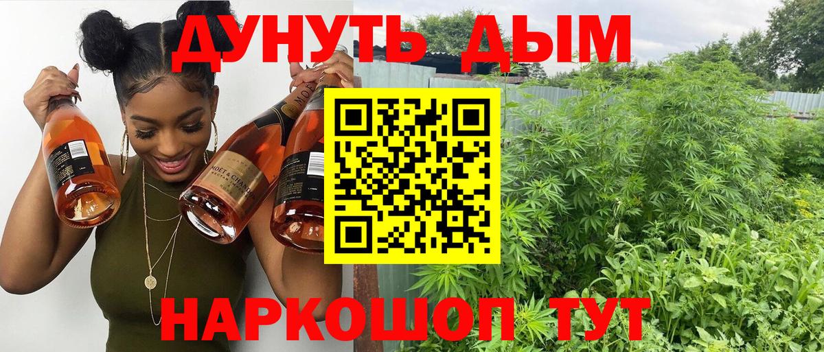 Конопля LSD WEED  Конопля сатива  Марихуана конопля  Вход с VPN  Марихуана AK-47  Новотроицк 